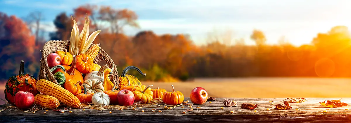 Harvest Festival & Late Summer in Augusta